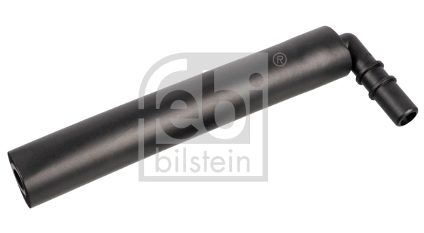 Hose, crankcase ventilation